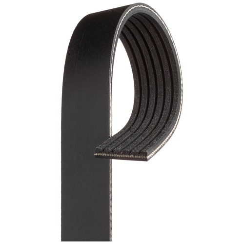 Rib multi drive belt - drive, for